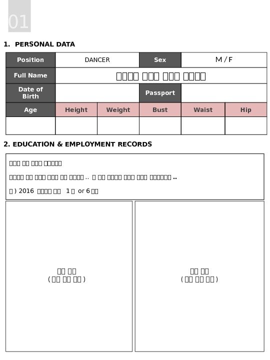 1.  PERSONAL DATA Position DANCER Sex M / F Full Name 대대대대 대대대