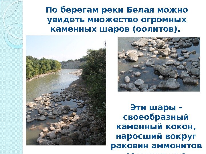 По берегам реки Белая можно увидеть множество огромных каменных шаров (оолитов).  Эти шары