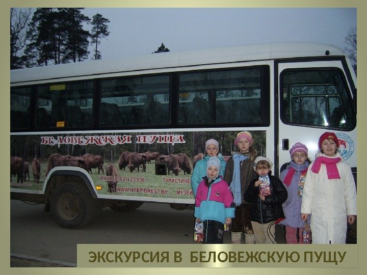 ЭКСКУРСИЯ В БЕЛОВЕЖСКУЮ ПУЩУ 38 