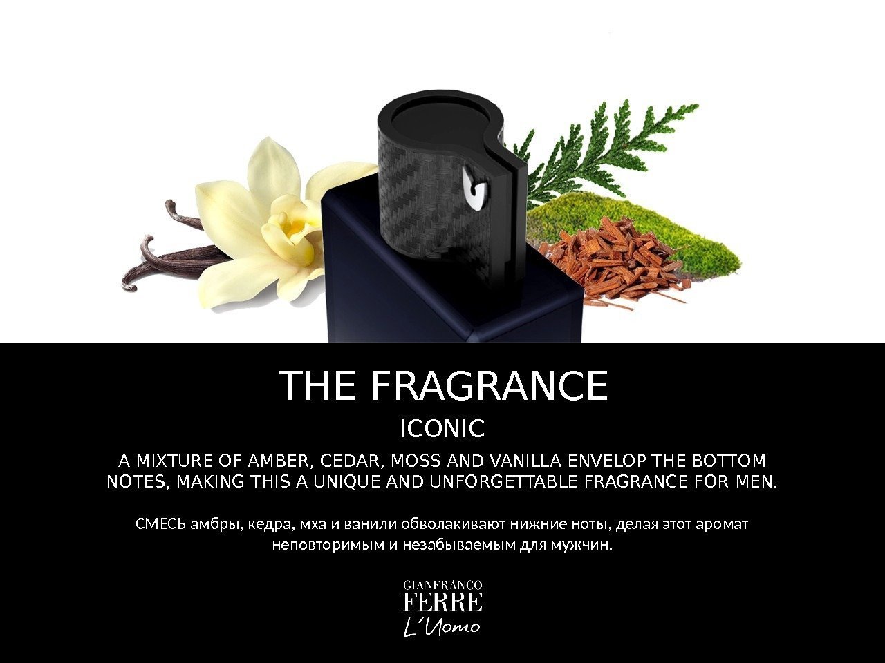 THE FRAGRANCE ICONIC A MIXTURE OF AMBER, CEDAR, MOSS AND VANILLA ENVELOP THE BOTTOM