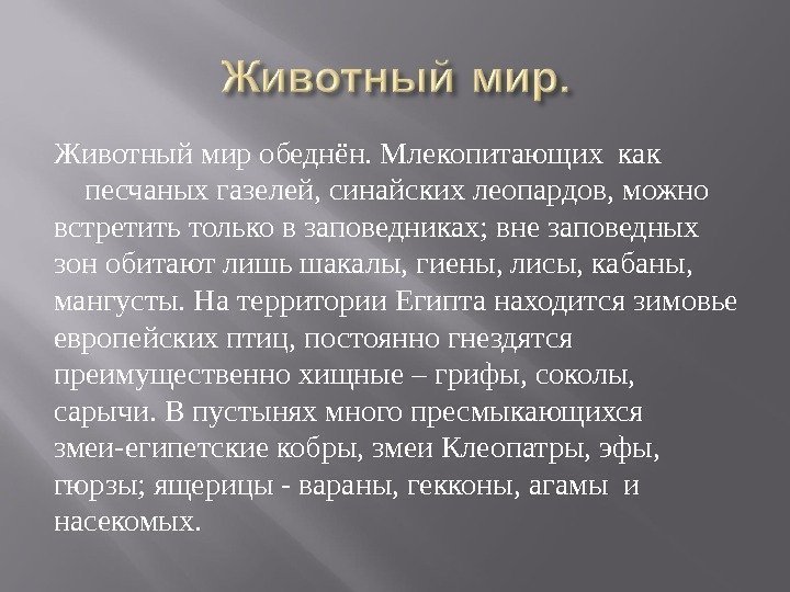 Животный мир обеднён. Млекопитающих как    песчаных газелей, синайских леопардов, можно встретить