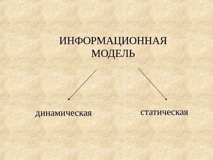   ИНФОРМАЦИОННАЯ МОДЕЛЬ динамическая статическая 