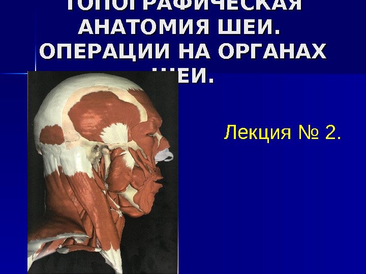  ТОПОГРАФИЧЕСКАЯ АНАТОМИЯ ШЕИ.  ОПЕРАЦИИ НА ОРГАНАХ ШЕИ. Лекция № 2. 