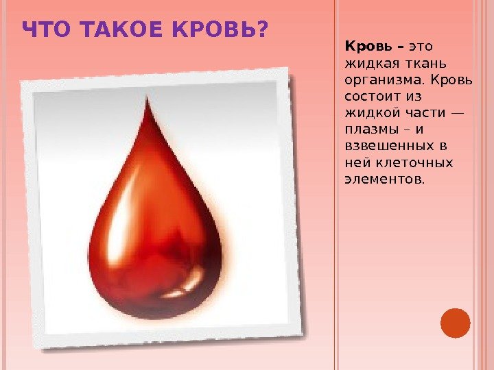 ЧТО ТАКОЕ КРОВЬ? Кровь – это жидкая ткань организма. Кровь состоит из жидкой части