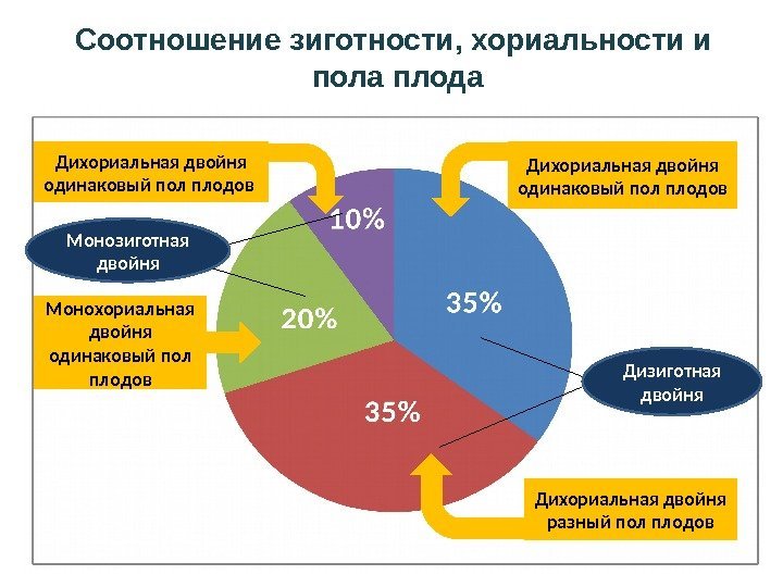 ддд. Дихориальная двойня одинаковый пол плодов  Монохориальная двойня одинаковый пол плодов Дихориальная двойня