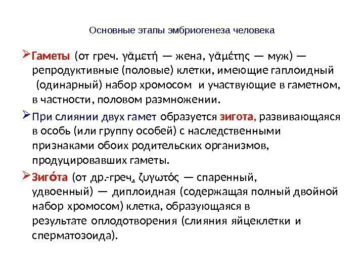 Основные этапы эмбриогенеза человека Гаметы (от греч. γᾰμετή — жена, γᾰμέτης — муж) —