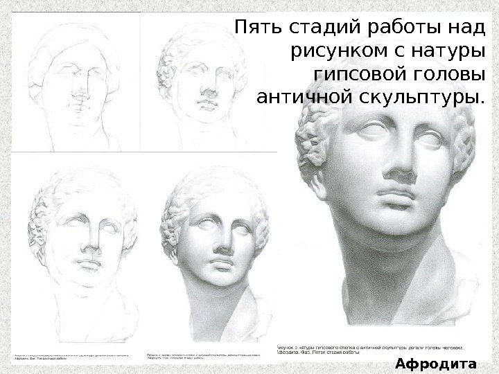  Пять стадий работы над рисунком с натуры гипсовой головы античной скульптуры. Афродита 