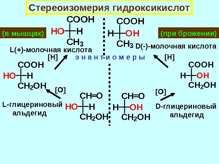 Стереоизомерия гидроксикислот. COOH CH 3 HOH L(+)-молочная кислота D(-)-молочная кислота(в мышцах) (при брожении) CH