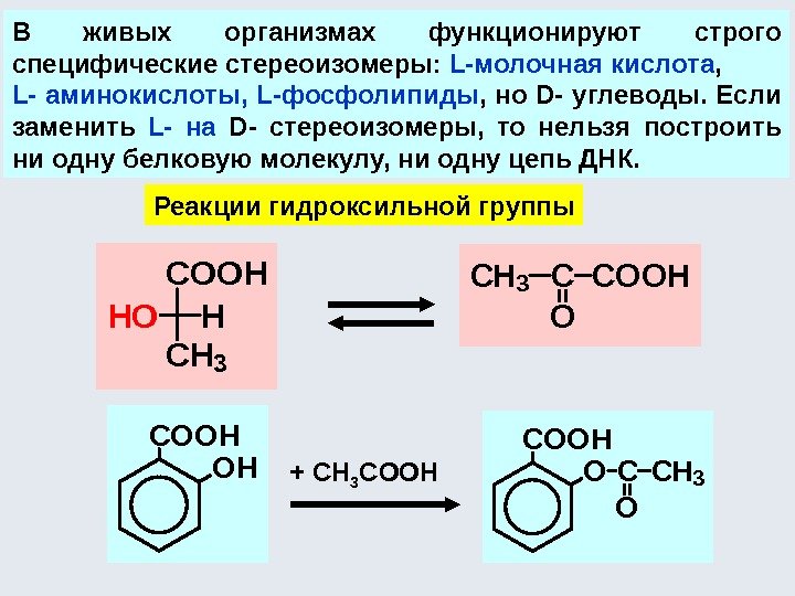 В живых организмах функционируют строго специфические стереоизомеры:  L-молочная кислота ,  L- аминокислоты,