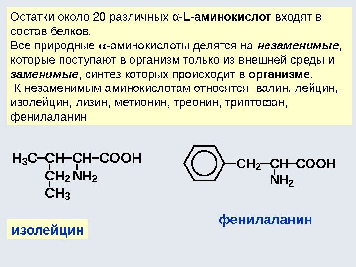 Остатки около 20 различных α-L-аминокислот входят в состав белков.  Все природные  -аминокислоты