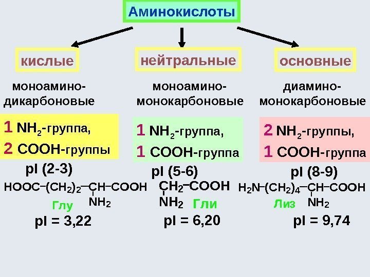 Аминокислоты кислые нейтральные основные  моноамино- дикарбоновые моноамино- монокарбоновые  диамино- монокарбоновые 1 