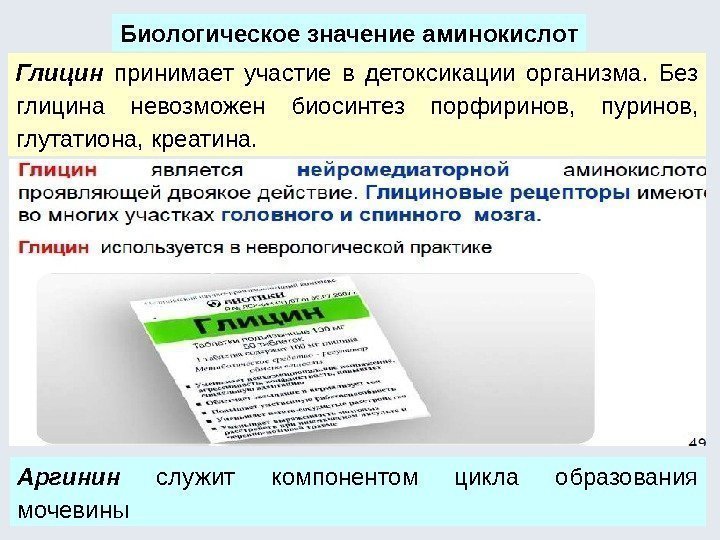 Биологическое значение аминокислот Глицин  принимает участие в детоксикации организма.  Без глицина невозможен