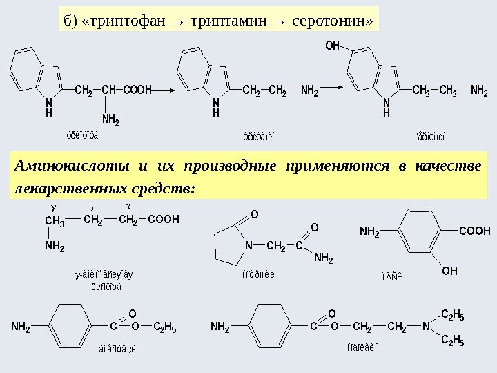 б) «триптофан → триптамин → серотонин» Аминокислоты и их производные применяются в качестве лекарственных