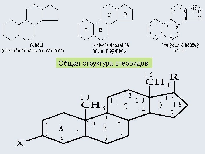 Общая структура стероидов      ñòåðàí (öèêëîïåíòàíïåðãèäðîôåíàíòðåíà) ïðèíÿòûå áóêâåííûå îáîçíà÷åíèÿ êîëåö