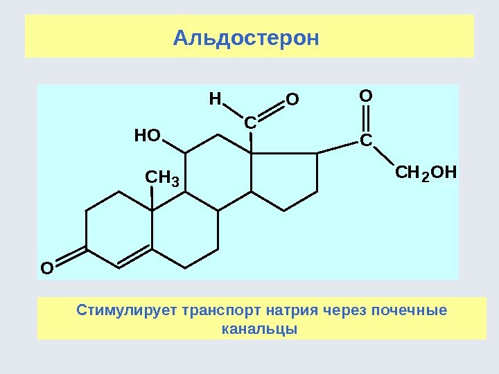 Альдостерон С СН 2 ОН С CH 3 O OH OOH Стимулирует транспорт натрия