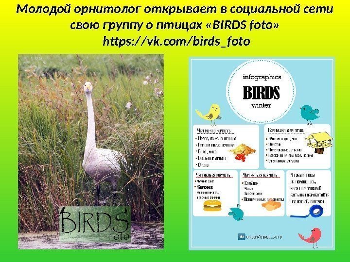 Молодой орнитолог открывает в социальной сети свою группу о птицах «BIRDS foto»  https: