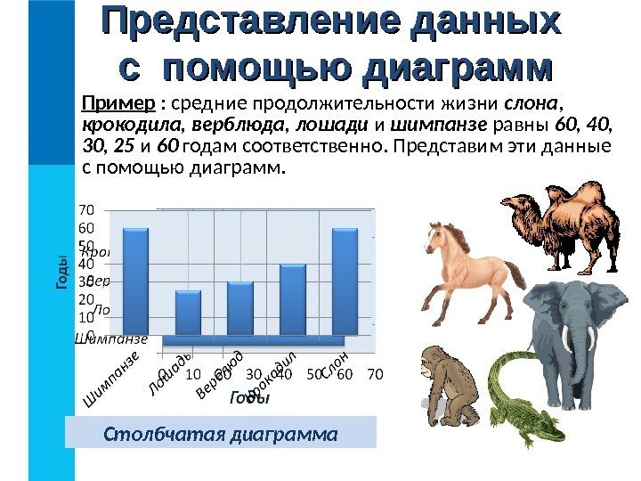 Пример : средние продолжительности жизни слона ,  крокодила, верблюда, лошади и шимпанзе равны