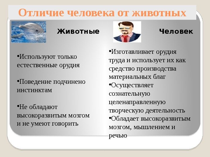 Отличие человека от животных Животные Человек • Изготавливает орудия труда и использует их как