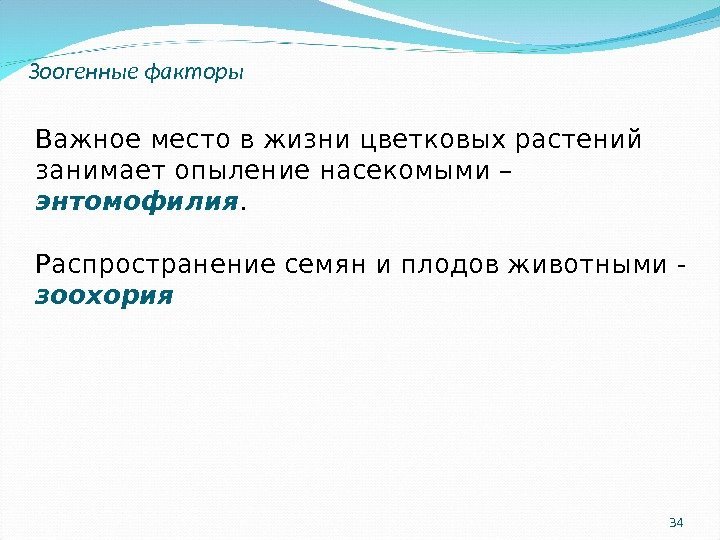 34 Зоогенные факторы Важное место в жизни цветковых растений занимает опыление насекомыми – энтомофилия.