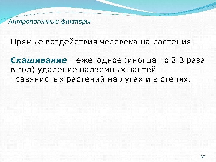 37 Антропогенные факторы Прямые воздействия человека на растения: Скашивание – ежегодное (иногда по 2