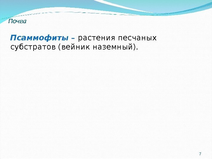 7 Почва Псаммофиты – растения песчаных субстратов (вейник наземный).  