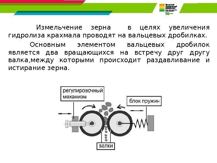  Измельчение зерна  в целях увеличения гидролиза крахмала проводят на вальцевых дробилках. Основным