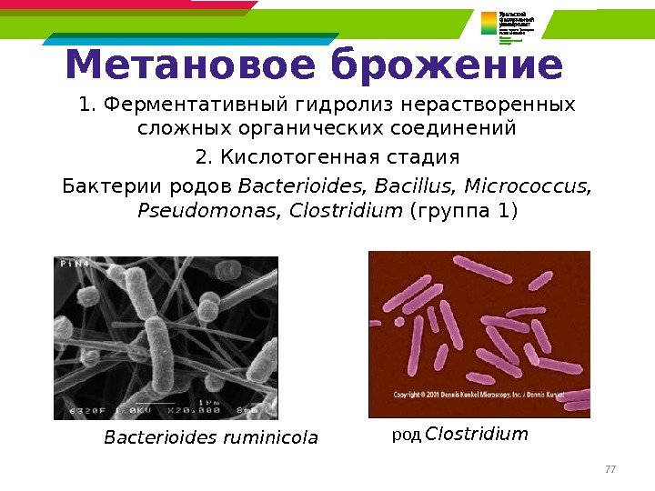 77 Метановое брожение 1. Ферментативный гидролиз нерастворенных сложных органических соединений 2. Кислотогенная стадия Бактерии