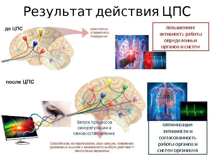   Результат действия ЦПС Запуск процессов саморегуляции и самовосстановления повышенная активность работы определенных