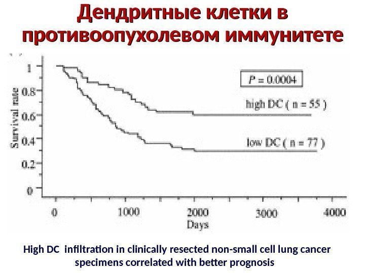 Дендритные клетки в противоопухолевом иммунитете High DC infiltration in clinically resected non-small cell lung