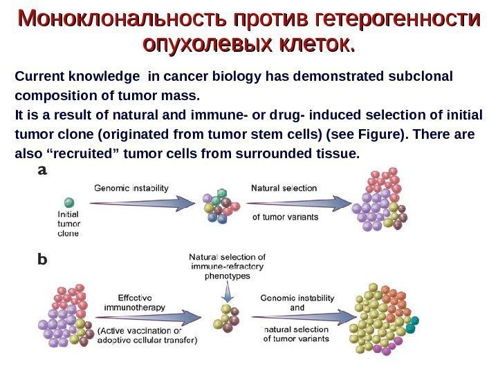 Моноклональность против гетерогенности опухолевых клеток. . Current knowledge in cancer biology has demonstrated subclonal