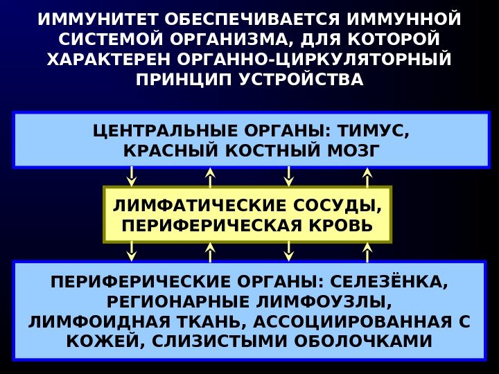 ИММУНИТЕТ ОБЕСПЕЧИВАЕТСЯ ИММУННОЙ СИСТЕМОЙ ОРГАНИЗМА, ДЛЯ КОТОРОЙ ХАРАКТЕРЕН ОРГАННО-ЦИРКУЛЯТОРНЫЙ ПРИНЦИП УСТРОЙСТВА ЦЕНТРАЛЬНЫЕ ОРГАНЫ: ТИМУС,