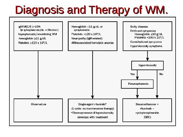 Diagnosis and Therapy of WM. 