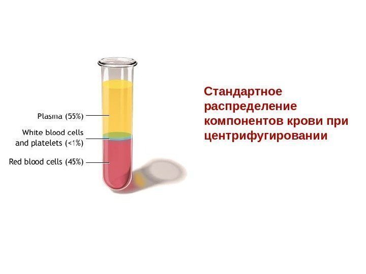 Стандартное распределение компонентов крови при центрифугировании 