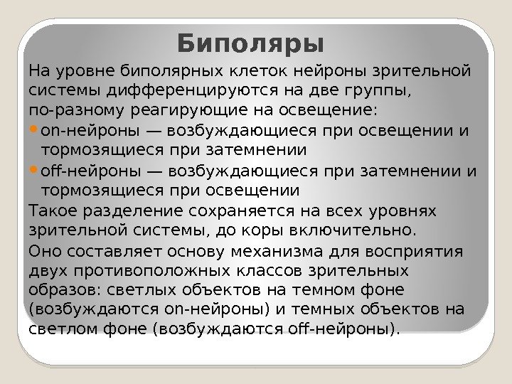 Биполяры  На уровне биполярных клеток нейроны зрительной системы дифференцируются на две группы, 