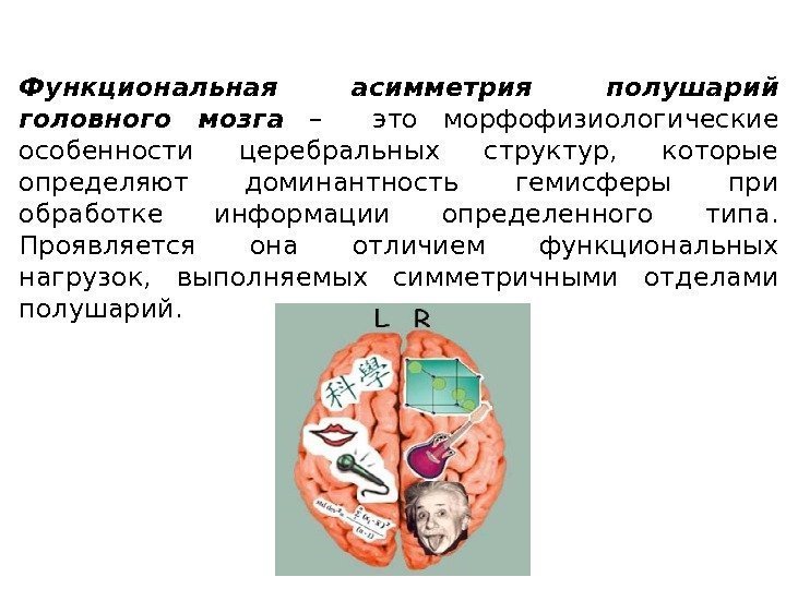 Функциональная асимметрия полушарий головного мозга  –  это морфофизиологические особенности церебральных структур, 