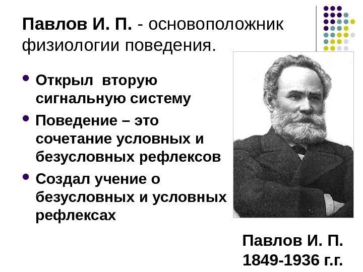 Павлов И. П.  -  основоположник физиологии поведения.  Павлов И. П. 1849