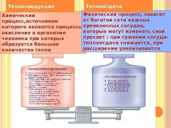 Химический процесс, источником которого являются процессы окисления в организме человека при которых образуется большое