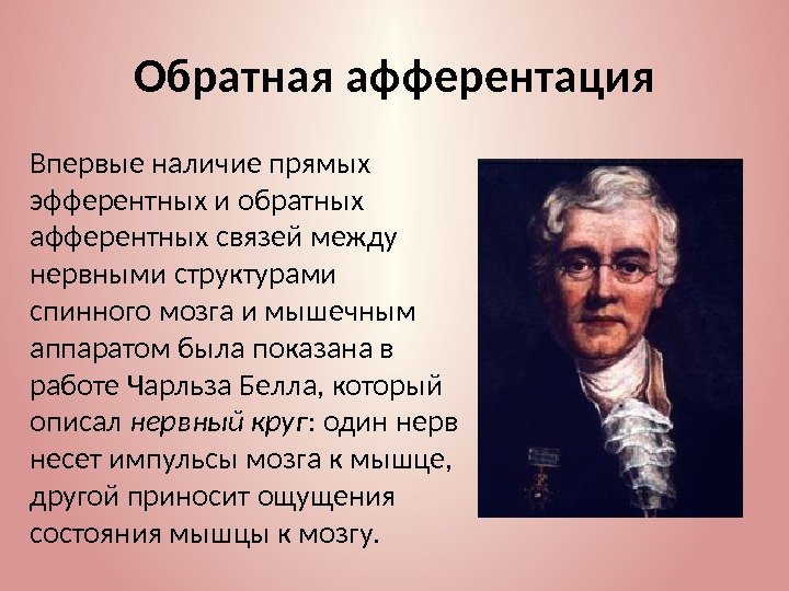 Обратная афферентация Впервые наличие прямых эфферентных и обратных афферентных связей между нервными структурами спинного