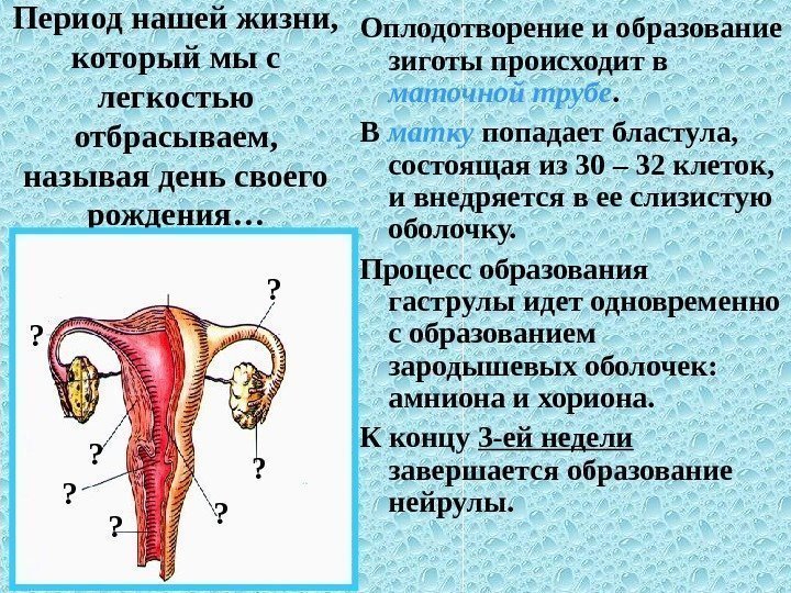 Период нашей жизни,  который мы с легкостью отбрасываем,  называя день своего рождения…