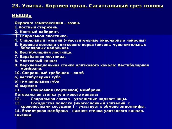 23. Улитка. Кортиев орган. Сагиттальный срез головы мыши. . Окраска: гематоксилин – эозин. 1.