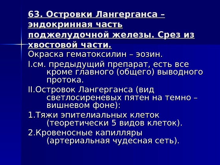 63. Островки Лангерганса – эндокринная часть поджелудочной железы. Срез из хвостовой части. Окраска гематоксилин