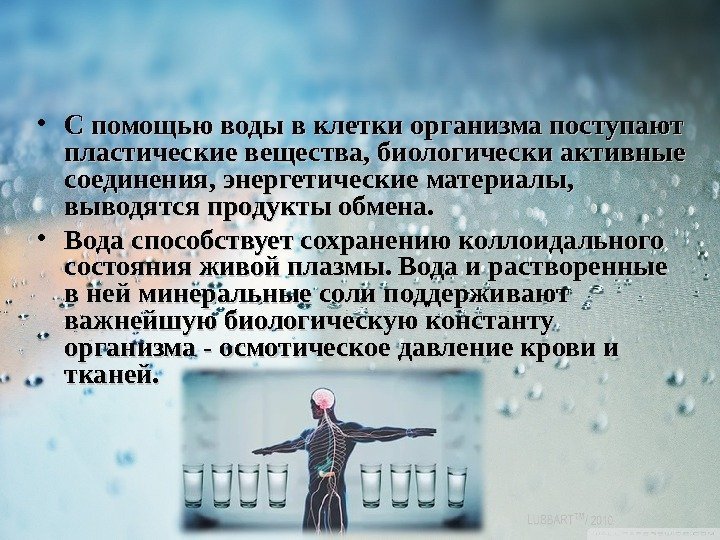  • С помощью воды в клетки организма поступают пластические вещества, биологически активные соединения,