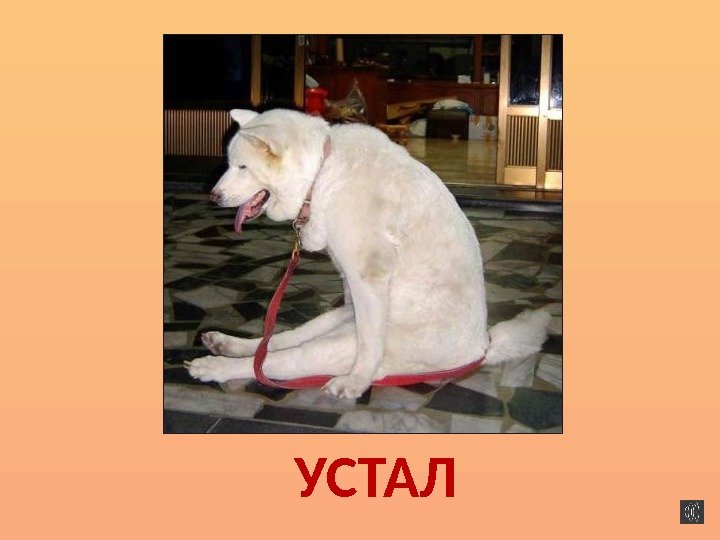 УСТАЛ 