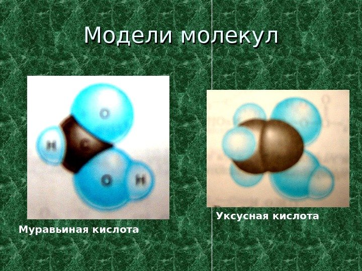   Модели молекул Уксусная кислота Муравьиная кислота 