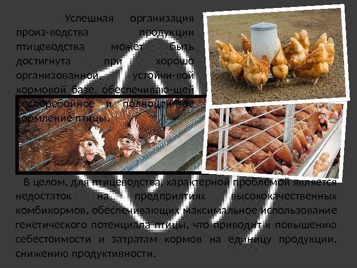  Успешная организация произ-водства продукции птицеводства может быть достигнута при хорошо организованной,  устойчи-вой