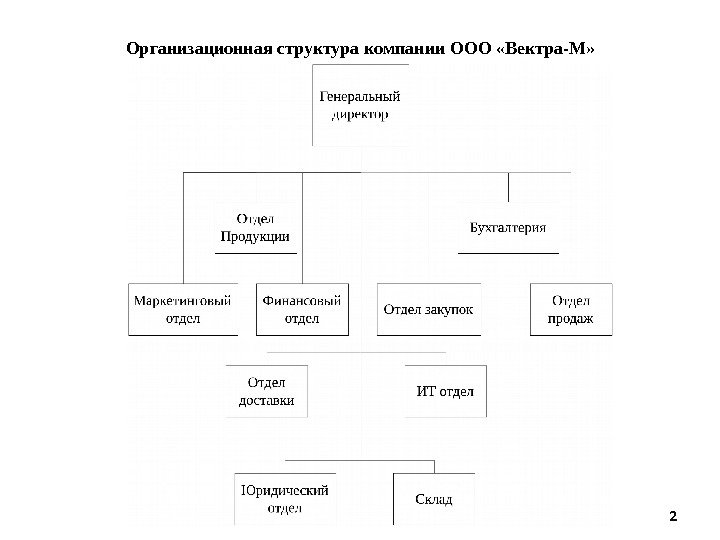 Организационная структура компании ООО «Вектра-М» 2 