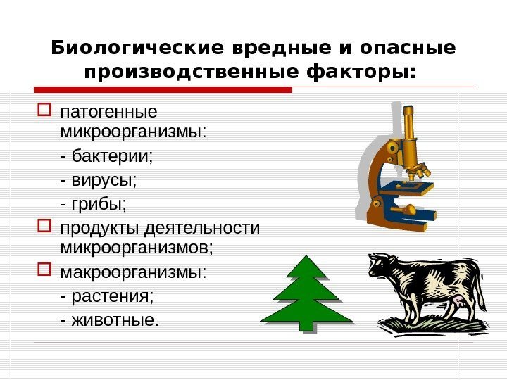 Биологические вредные и опасные производственные факторы:  патогенные микроорганизмы: - бактерии; - вирусы; -