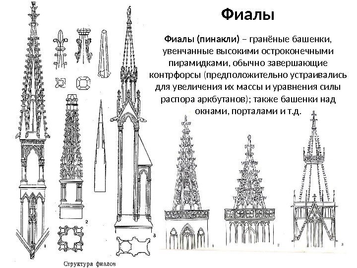 Фиалы (пинакли) – гранёные башенки,  увенчанные высокими остроконечными пирамидками, обычно завершающие контрфорсы (предположительно