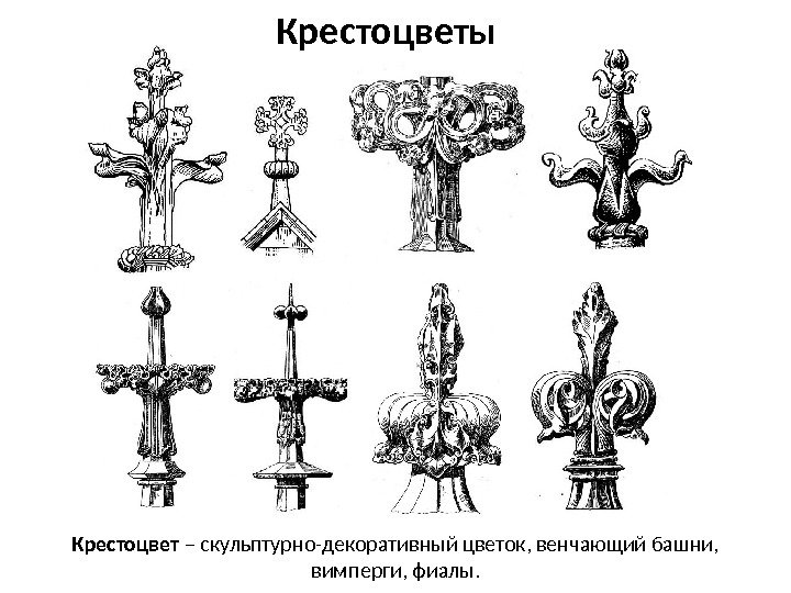 Крестоцвет – скульптурно-декоративный цветок, венчающий башни,  вимперги, фиалы. Крестоцветы 