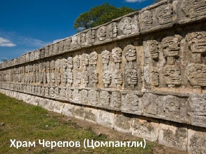 Храм Черепов (Цомпантли) 